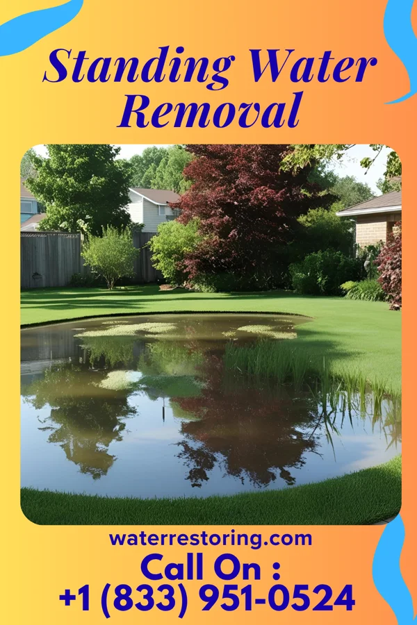 Standing Water Removal in Lake Michigan Beach, MI